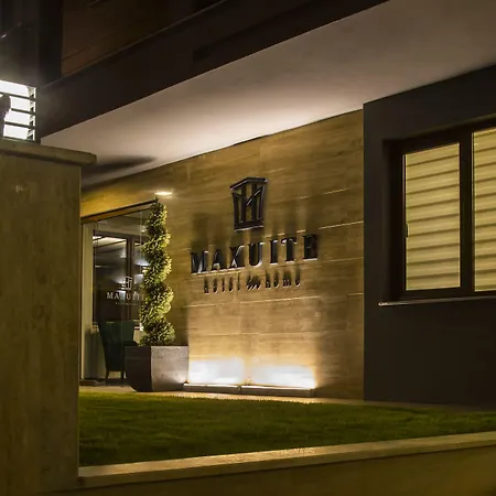 Maxuite In Hotel Akçay